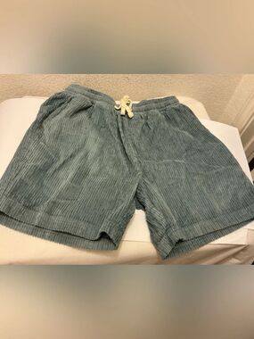 Absent Brand Corduroy Drawstring Shorts in Dusty Sage